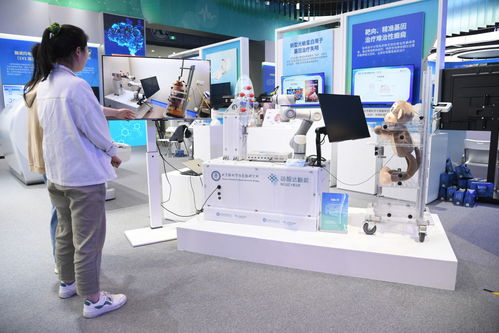 從“中國(guó)的硅谷”到“世界的中關(guān)村” 2024論壇解碼科技創(chuàng)新的全球服務(wù)新范式