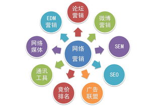 跟張有為老師學網(wǎng)絡營銷 我的市場營銷策劃心得感悟
